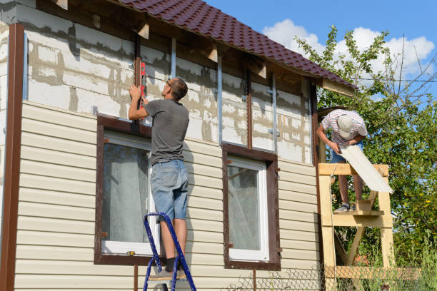 Affordable Siding Repair and Maintenance Services in Brooklyn Park, MN